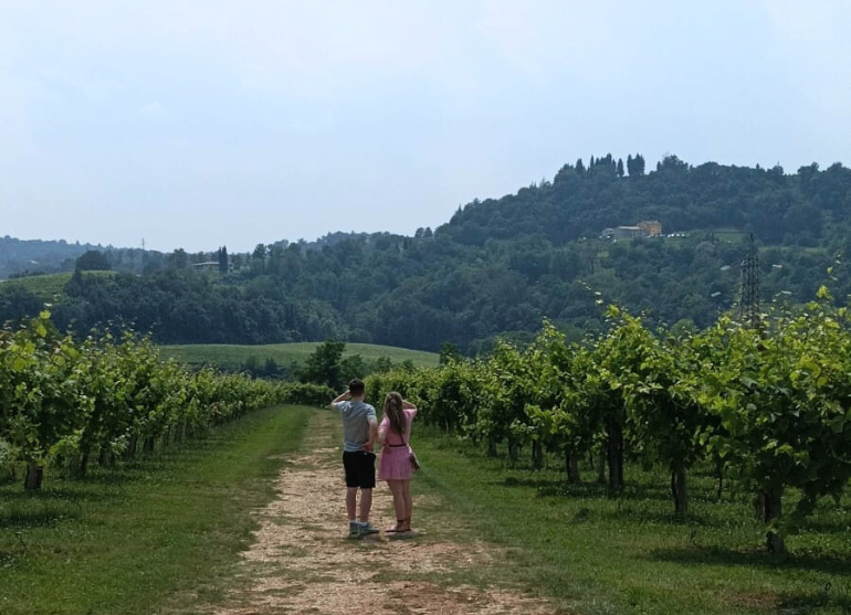 Wine Tasting Basic - immagine 6