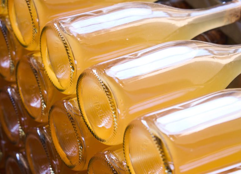 wine-tasting-valdobbiadene-moretvini-top